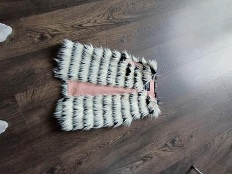 Vesta primigi, primigi,140