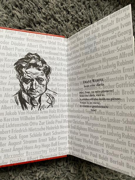 Krik a ticho storočia /analógia expresionizmu/,