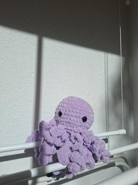 Háčkovaná chobotnička, 