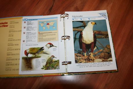 Fascination tier und natur kniha, 