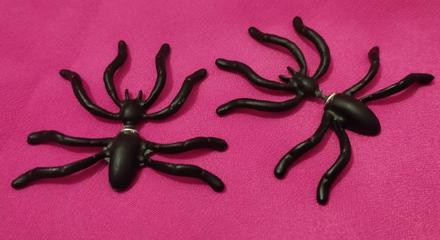 Nausnicky extravagantne pavucikovia, 