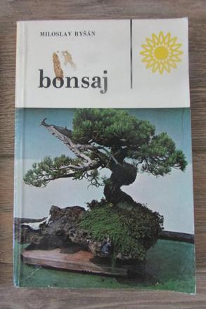 Bonsai rysan, 