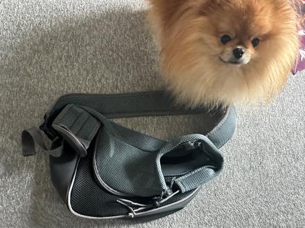 Taška pre malého psíka,