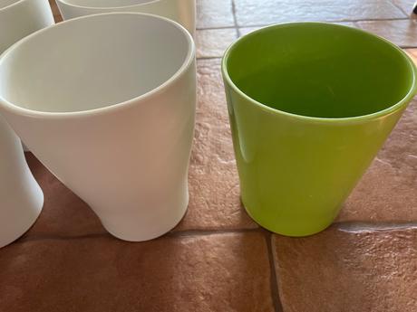 Crepniky na orchidee, 