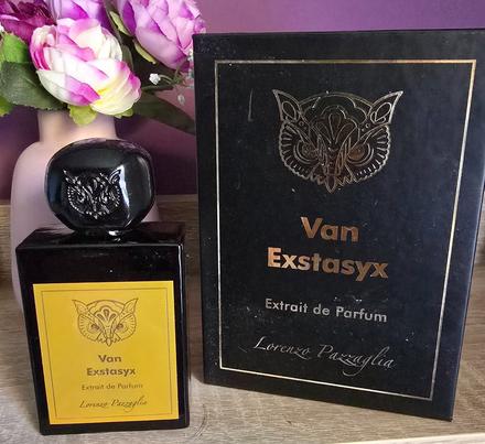 Lorenzo pazzaglia - van extasyx,