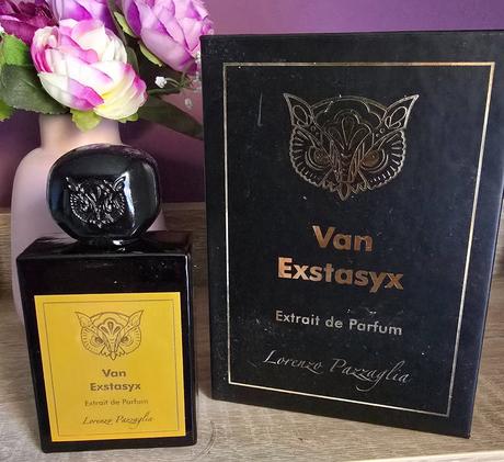 Lorenzo pazzaglia - van extasyx,