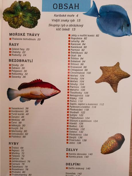 Kniha koralové útesy karibiku, 