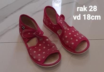 Rak papucky, rak,28
