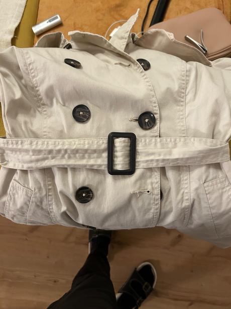 Bledy kabat, calliope,l