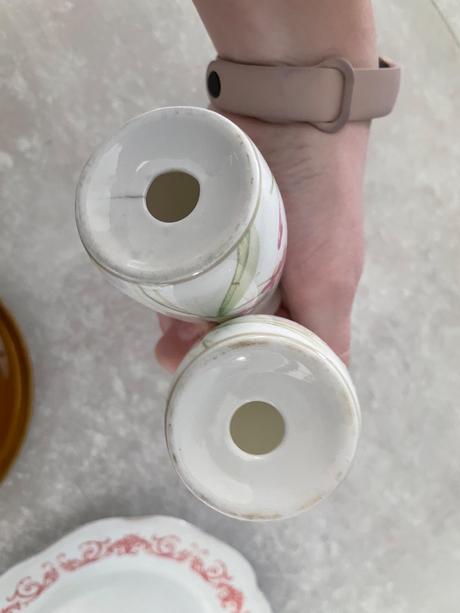 Taniere a koreničky,