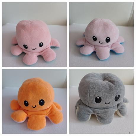 Obojstranná chobotnica,