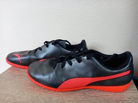 Halovky puma, puma,38