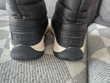 Snehule sorel, sorel,28