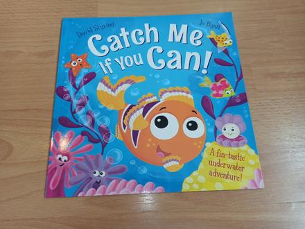 Catch me if you can zositkova,