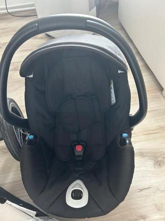 Kočik, neonato,neonato puro