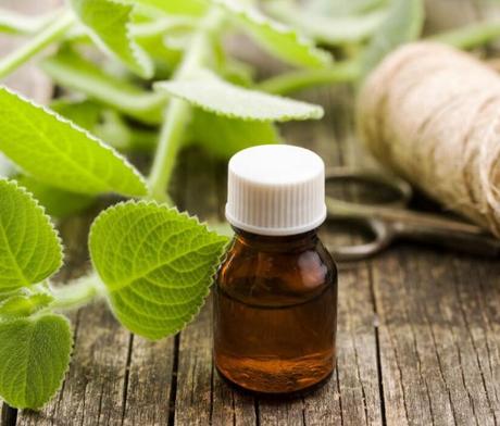 Prírodné bylinné tinktúry pre vaše zdravie,
