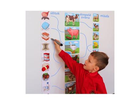 Magnetické zvieratá, mláďatá a úžitky,