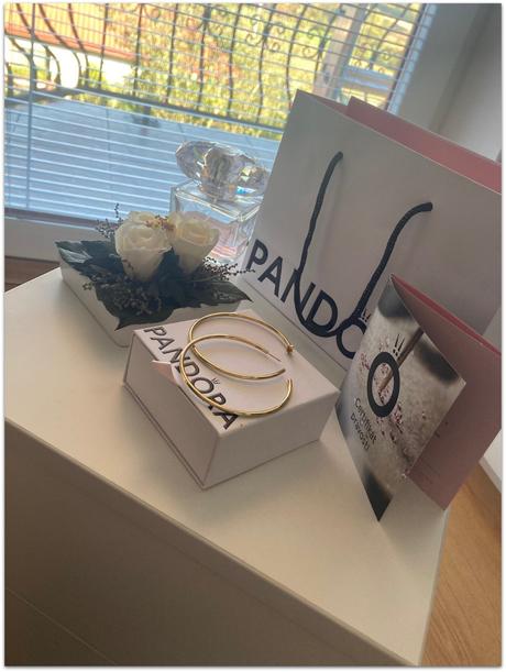 Pozlátené kruhové náušnice pandora, pandora