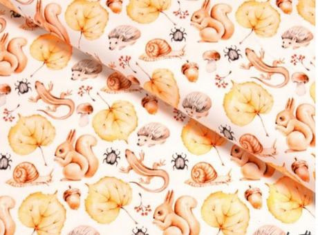 Dvojvrstvový set mickey, 36 - xxl