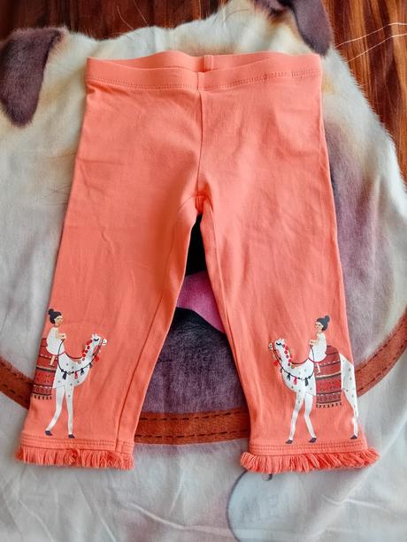 Trojstvrtove leginy, palomino,104