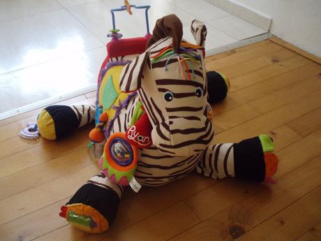 Zebra s rôznymi hracími plochami, 