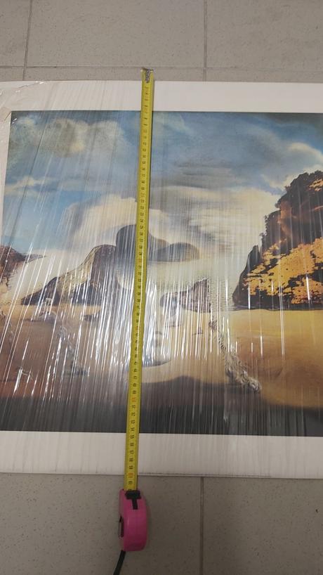 Obraz salvator dalí foto na kartóne 80x60cm, 