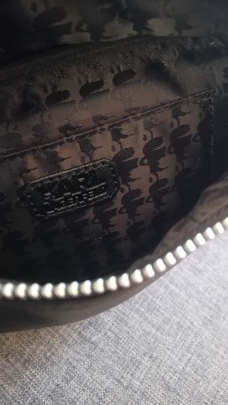 Ladvinka, karl lagerfeld