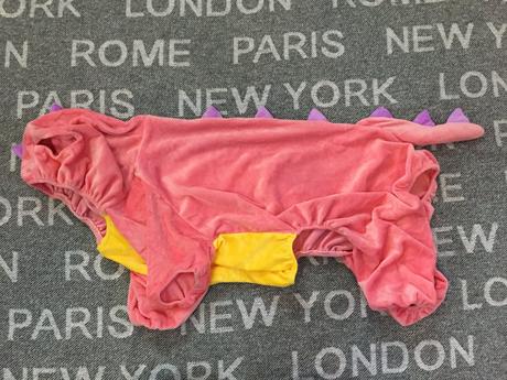 Kostym pre vacsieho psa dinosaurus, 