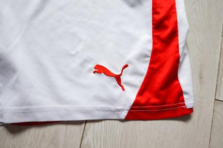 Pánske kraťasky puma, puma,xl