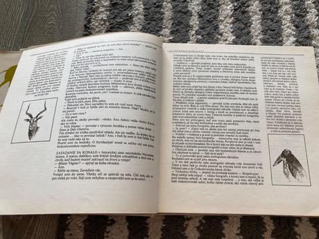 Lev nie je kráľom zvierat-prvé vyd.1981, 