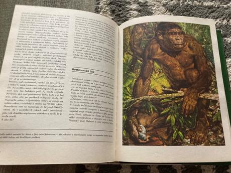 Cesta za adamom (1983), 