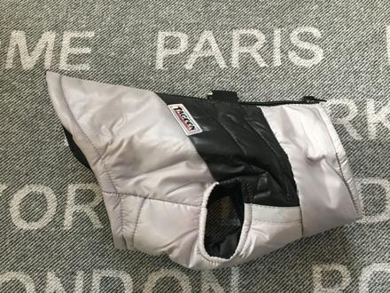 Bunda pre maleho psa, 