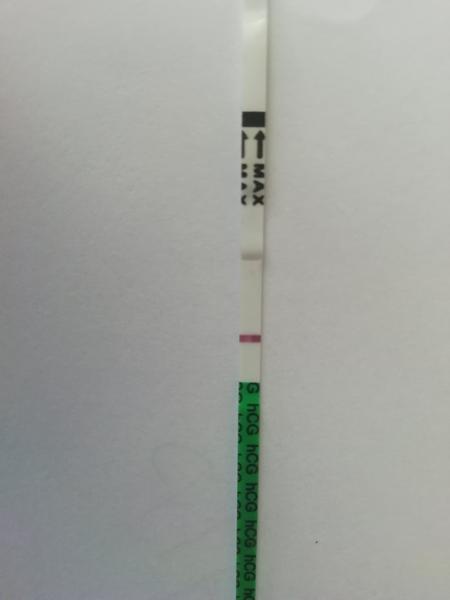 Test robený po meškaní menzesu 20 dní