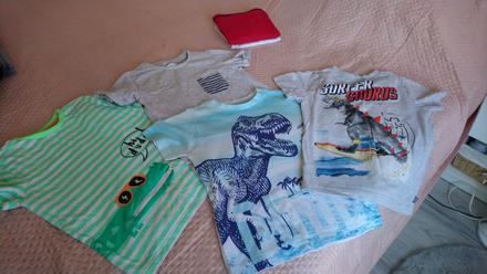 Tričká dino - už iba sivé, 110