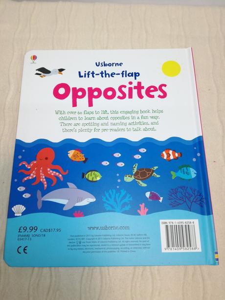 Usborne lift the flap opposites,