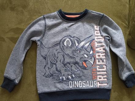 Mikina, dopodopo,110