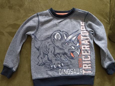 Mikina, dopodopo,110