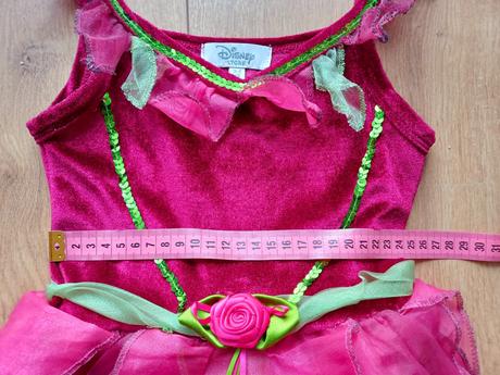 Princezná, víla alebo šípová ruženka,