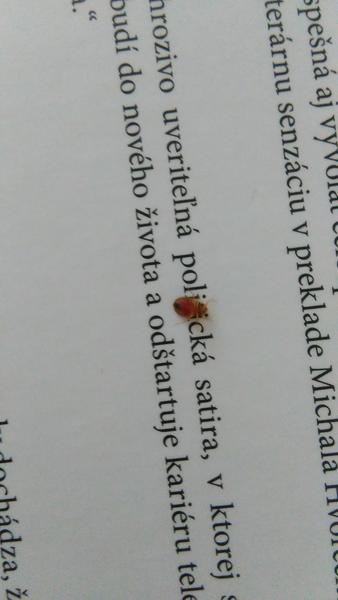 Aký je toto chrobák?