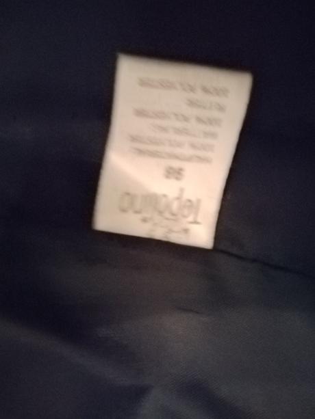 Vetrovka, topolino,98