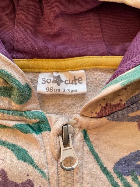 Farebna vesta s kapucou pepco, pepco,98