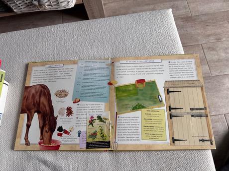 Prirucka pre milovníkov konikov, 