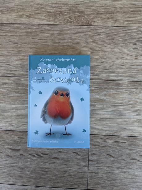 Detska kniha zasnezena cervienka, 