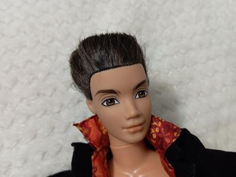 Barbie my scene chlapci ken, 