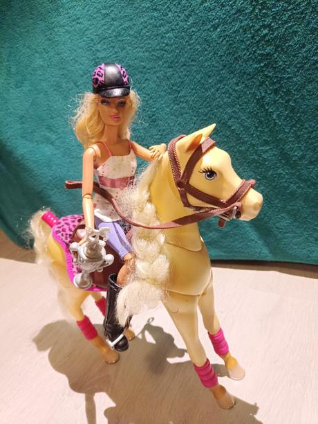 Erdžiaci kôň a jazdkyňa, 