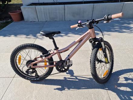 Bicykel, scott,20