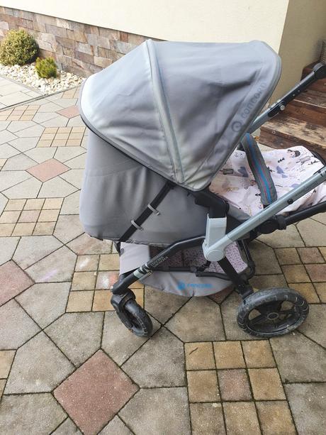 Concord wanderer, concord,concord wanderer