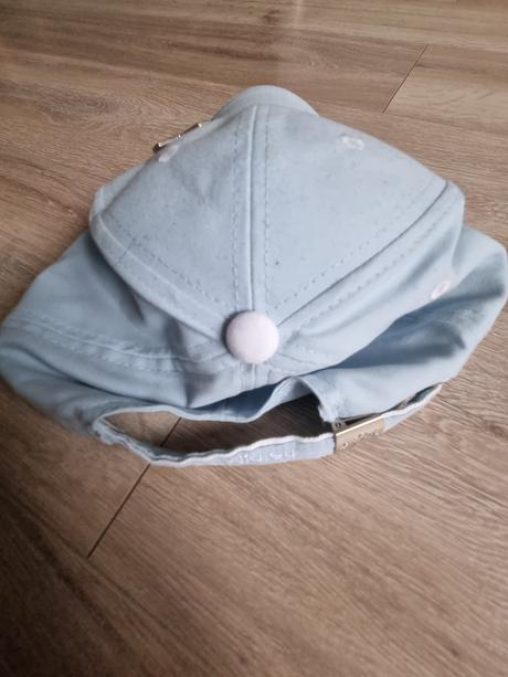 Bledozelená šiltovka hollandia, 