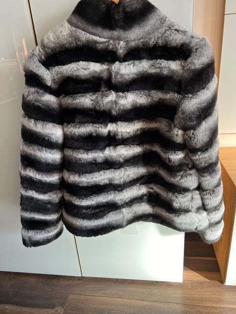 Kožuch králik rex (chinchilla rex), m / s