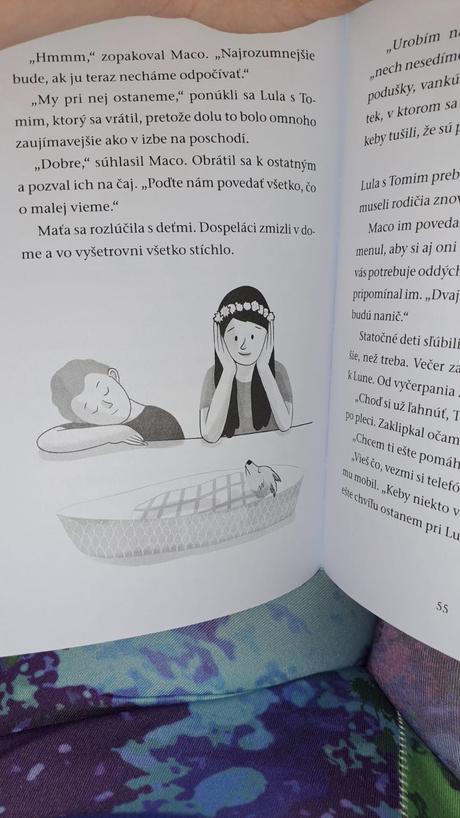 Záchranná stanica vlčica luna, 